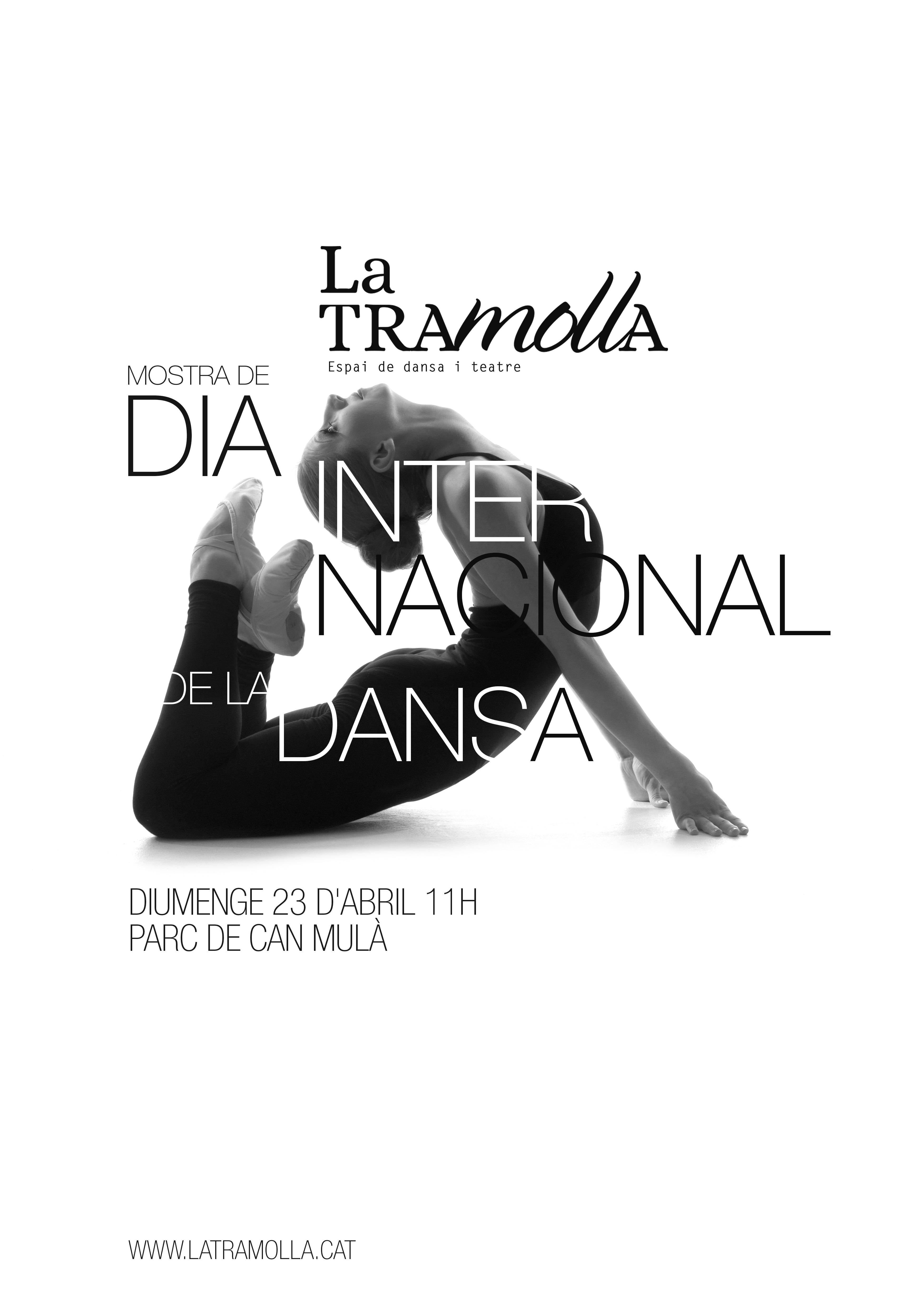 Activitats pel Dia Internacional de la Dansa 2017
